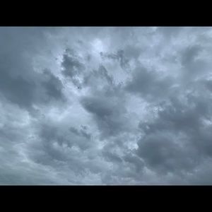 Meet your Posher, Willie